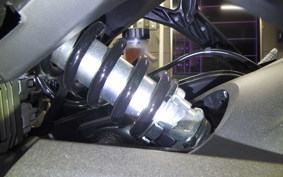 TRIUMPH TRIDENT 660 2024