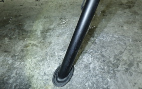 KAWASAKI NINJA 250 2023 EX250Y