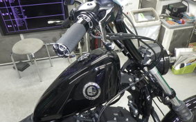 HARLEY XL883N 2013