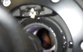 TRIUMPH SPEED TRIPLE RS 2022