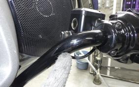 HARLEY FLHXSE1980CVO 2024