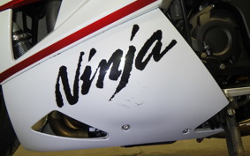 KAWASAKI ZX 1400 NINJA R A 2020