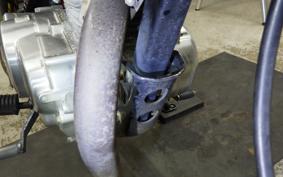 HONDA APE 50 1998 AC16