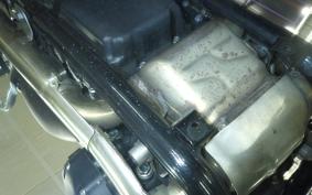 TRIUMPH SPEED TWIN 2024