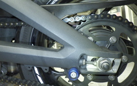 TRIUMPH DAYTONA 675 R 2015