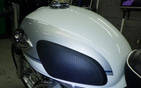 KAWASAKI W800 2025 EJ800E