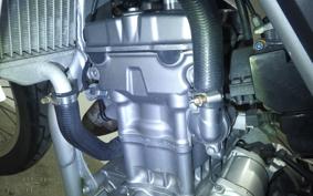 HONDA CRF250L MD38