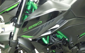 KAWASAKI Z250 Gen.2 2025 EX250Y
