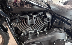 HARLEY FXLRST 2024 YXZ