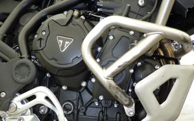 TRIUMPH TIGER 900 RALLY PRO 2025
