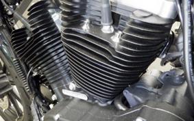 HARLEY XL883N 2021