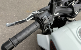 HARLEY X350 2024 W3C