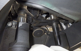 KAWASAKI NINJA 250 2007 EX250L