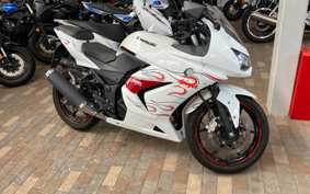 KAWASAKI NINJA 250R EX250K