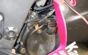 KAWASAKI NINJA 250R EX250K