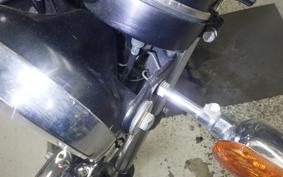KAWASAKI Z250 FT