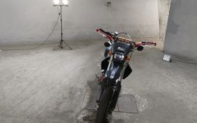 KAWASAKI D-TRACKER LX250E