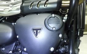 TRIUMPH SCRAMBLER 900 2024