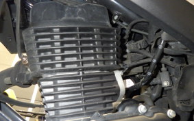 HONDA CB125 F 2024