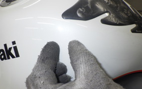 KAWASAKI NINJA 250R 2007 EX250K