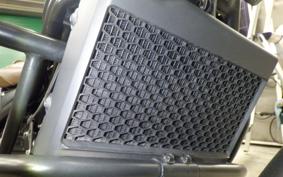 HONDA REBEL 250 S 2021 MC49