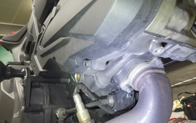 DUCATI MONSTER 937 + 2024