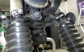 HONDA CT125 HUNTER CUB 2024 JA55