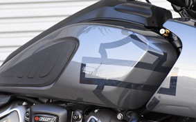 HARLEY PAN AMERICA 1250 2021 ZES