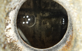 KAWASAKI ZXR250 Gen.2 2019 ZX250C