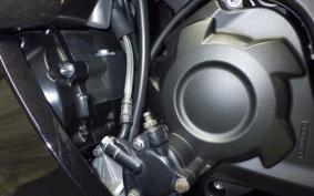 KAWASAKI ZX 1400 NINJA R A 2019