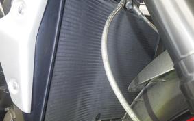 TRIUMPH STREET TRIPLE RS 2019