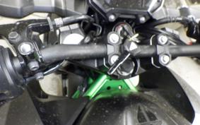 KAWASAKI Z250 Gen.2 2007 EX250Y