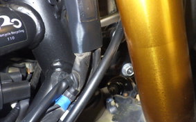 YAMAHA YZF-R25 2022 RG43J