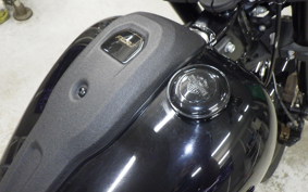 HARLEY FXLRS1920 2022