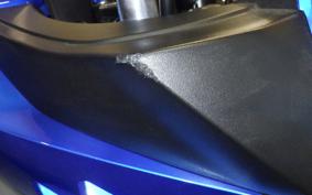 SUZUKI GSX250 R