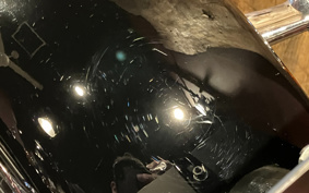 HARLEY HARLEY FXDL1580 2002 GDV