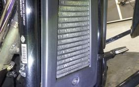 HARLEY FLSB 1750 2021