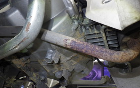 HONDA C110 SUPER CUB 2024 JA10