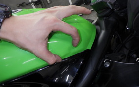 KAWASAKI NINJA 250 SL 2016 BX250A