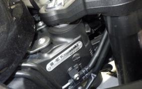 KAWASAKI NINJA 1000 A 2019 ZXT00W