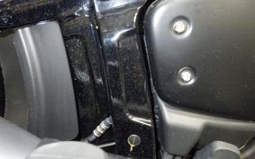 HARLEY FXBB1750 2019