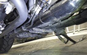 HARLEY XL883N 2020