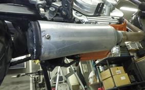 YAMAHA TRICKER DG10J