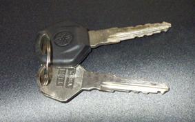 YAMAHA YZF-R25 RG43J