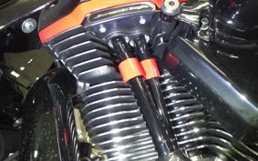 HARLEY FLTRXSTSE1980CVO 2024
