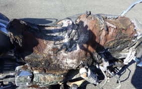 HARLEY FXDL 1580 2007