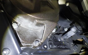 SUZUKI Vストローム250SX 2015