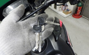 HONDA CRF250L 2010 MD38