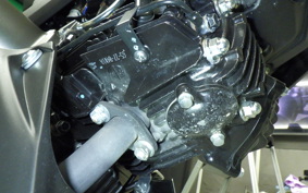 KAWASAKI Z125 PRO BR125H