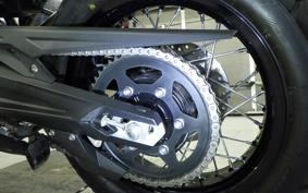 TRIUMPH TIGER 800 2019